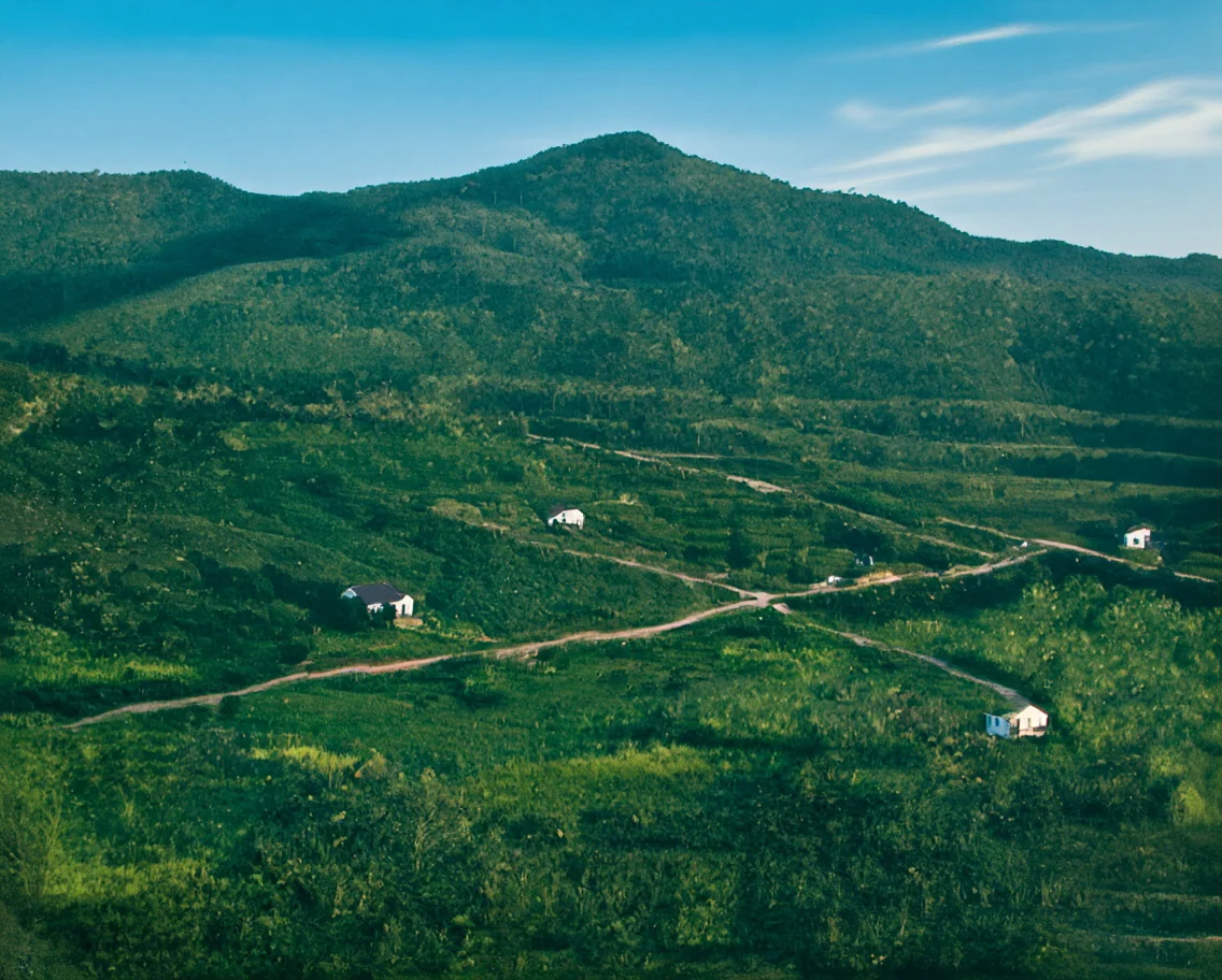 Foto restaurada e colorizada: Vista Do Vale E Lavoura